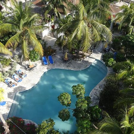 Turtle Cove Inn Oda fotoğraf