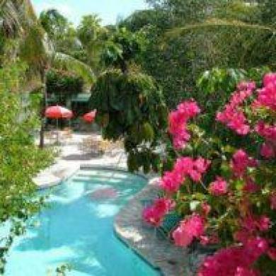 Turtle Cove Inn Dış mekan fotoğraf