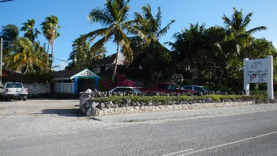 Turtle Cove Inn Dış mekan fotoğraf